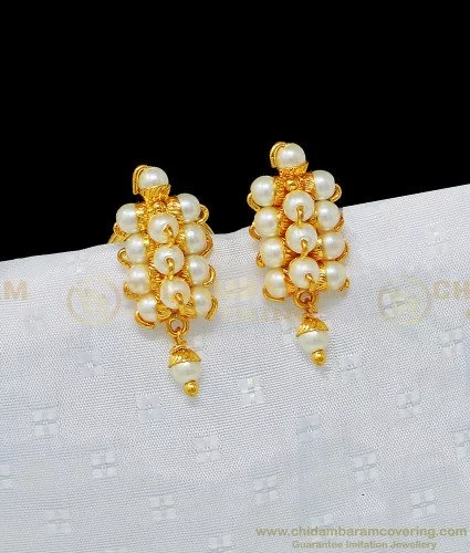 Buy Elegant Party Wear Ad Multi Stone Studs One Gram Gold Artificial Earring  Online